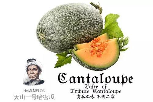 吃瓜链接网站推荐免费,免费畅享娱乐资讯，轻松掌握热点动态  第3张